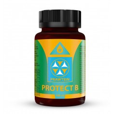 BEWIT PRAWTEIN Protect B 100ml
